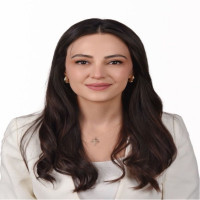 Sinem Ipek
