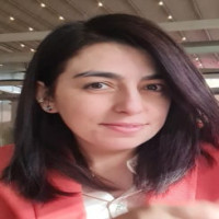 Mefule Fındıkçı Erdoğan